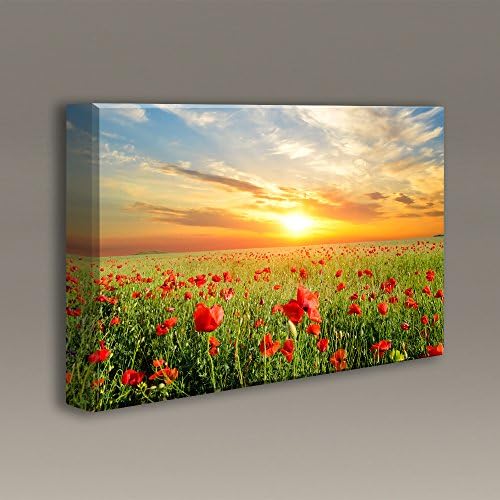 Acoustic sound Panels with printed art by Acoustimac: 3'x2'x2" - Poppies in the Sunset