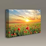 Acoustic sound Panels with printed art by Acoustimac: 3'x2'x2