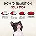 Wellness CORE Dry Dog Food, Grain Free, High Protein, Natural, Lamb Recipe, (22-Pound Bag)