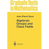 Algebraic Groups and Class Fields