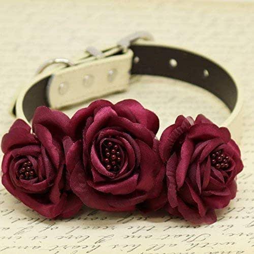 dog collar with roses