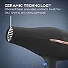 Conair INFINITIPRO BY 1875 Watt AC Motor Pro Hair Dryer, Black / Rose Gold, 1 Count