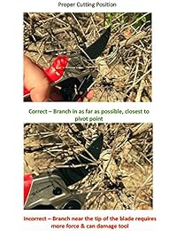 Corona RP 4224d ratchetcut ComfortGel Tijeras de podar (tipo bypass, 3 4 Inch