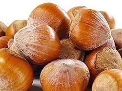Raw In Shell Filberts/Hazelnuts (2 Lbs.) - Vegan