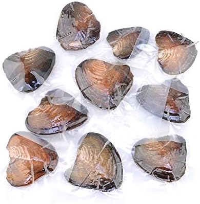 UMaster 10Pcs Freshwater Oyster Shells with Cultured Love Wish Oval Pearls Inside Birthday Gifts,Random Color (6--7mm,Round)