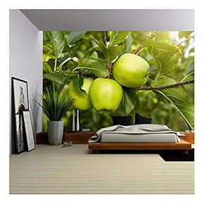 Green Apples in The Orchard - Removable Wall Mural | Self-Adhesive Large Wallpaper - 66x96 inches