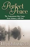 Perfect Peace by 