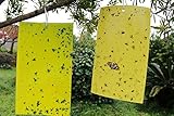 KINGLAKE® 10 PCS Dual Sided Yellow Sticky Fly Traps Paper Stickers for White Flies, Aphids, Fungus Gnats & Leaf Miners