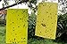 KINGLAKE 10 PCS Dual Sided Yellow Sticky Fly Traps Paper Stickers for White Flies, Aphids, Fungus Gnats & Leaf Miners- 6x8 Inches,Wire Ties Included