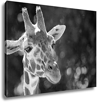 Ashley Canvas Head Shot Of A Giraffe, Kitchen Bedroom Living Room Art, Black/White 24x30, AG6515038