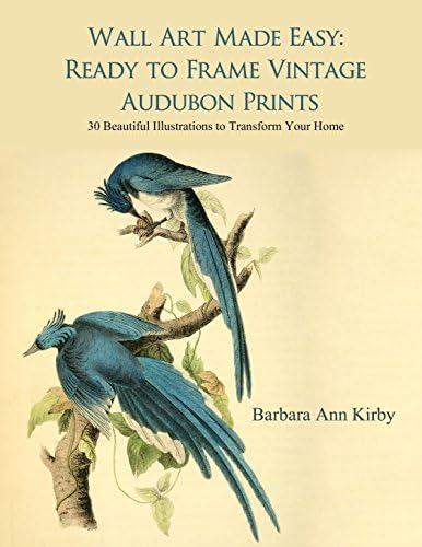 Wall Art Made Easy: Ready to Frame Vintage Audubon Prints: 30 Beautiful Illustrations to Transform Your Home: 1