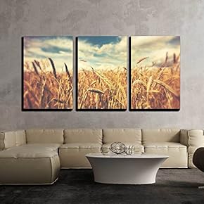 wall26 - 3 Piece Canvas Wall Art -...