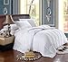 Royal Hotel White Down Alternative Twin Comforter with Corner Tabs - Hypoallergenic All-Season Plush Hotel Style Comforter, Duvet Insert Twin XL Extra long
