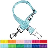 Blueberry Pet 12 Colors Classic Dog Seat Belt Tether for Dogs Cats, Mint Blue, Durable Safety Car Vehicle Seatbelts Leads Use with Harness