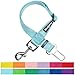 Blueberry Pet 12 Colors Classic Dog Seat Belt Tether for Dogs Cats, Mint Blue, Durable Safety Car Vehicle Seatbelts Leads Use with Harness