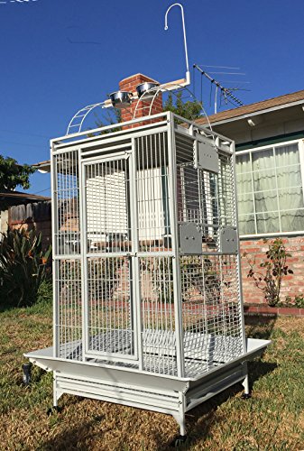 Large Double Ladders Open Play Top Wrought Iron Bird Parrot Parakeet Finch Macaw Cockatoo Cage, Include Seed Guard and Toy Hook (WhiteVein)