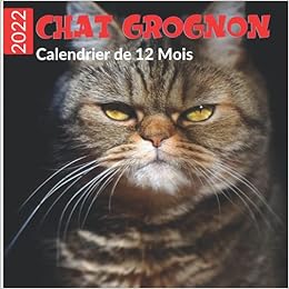 Amazon Fr Calendrier De 12 Mois Chat Grognon Agenda Mural Mensuel Avec De Belles Photos De Chats Faisant La Grimace Dates Importantes Et Fetes Sur Toute L Annee Idee
