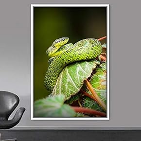 signwin Framed Canvas Wall Art Snake Contemporary Dramatic...