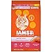 Iams Proactive Health Healthy Adult Dry Cat Food With Salmon And Tuna, 16 Lb. Bag primary