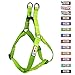 Pawtitas Small Dog Harness - Green, Adjustable, Reflective Step-in Harness for Senior Dogs to Puppies