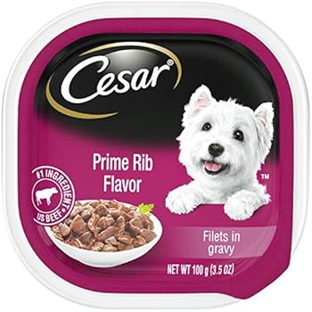 Amazon.com : Cesar Gourmet Filets Wet Dog Food Prime Rib