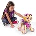 Paw Patrol, Zoomer Skye, Interactive Pup with Missions, Sounds and Phrases by Spin Master