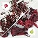 Hibiscus Tea (1 lb.) - Roselle Whole Flower Loose Leaf Tea, Boost Your Immune System & Fight Aging with Pure Antioxidant Power of Hibiscus Flowers Tea, Caffeine-free Herbal Tea