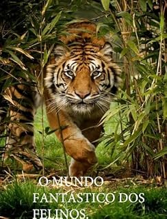 Livro O mundo fantástico dos felinos : Felinos