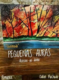 Livro PEQUENAS AURAS: Acessos ao divino
