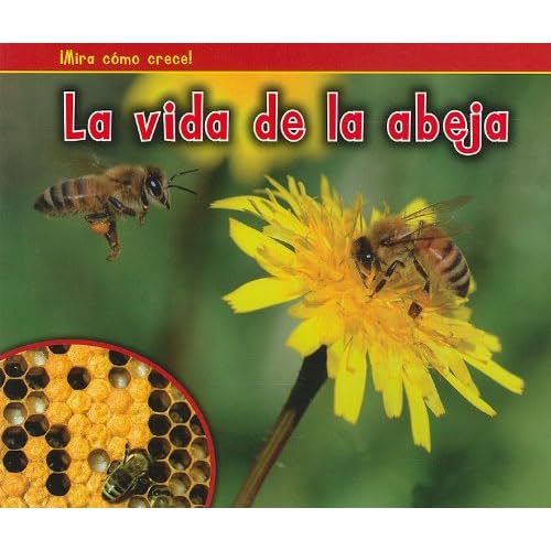 La Vida de la Abeja = The Life of a Bee (Bellota: Mira como crece! / Acorn: Watch It Grow!)