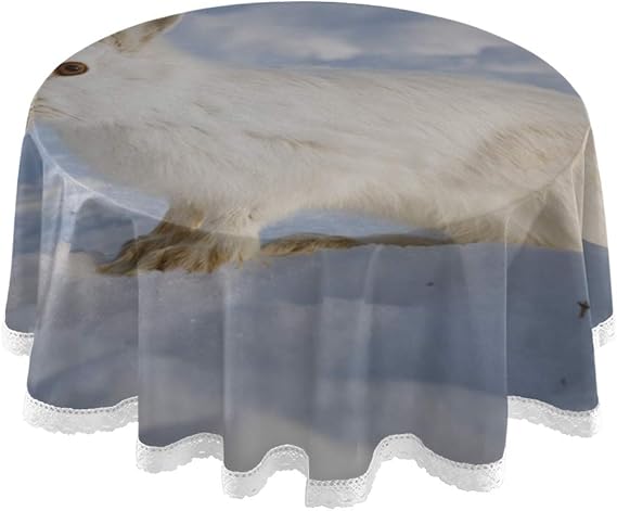 APJDFNKL Cubierta Redonda para Mesa de Comedor Conejo de Liebre Blanca