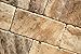 Philadelphia 3 X 6 Travertine Tumbled Brick Tile - 2 pcs. Sample Set