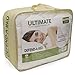 Classic Brands Defend-A-Bed Ultimate Bamboo-Rayon Quilted Waterproof Mattress Protector, Queen