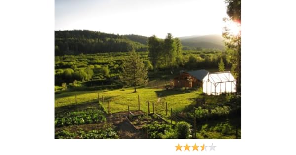 How To Build A Hanging Chicken Feeder Kindle Edition By Annie