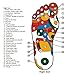 Acupuncture Foot Massager INSOLES Size 6.5-8.5, EU 37-40
