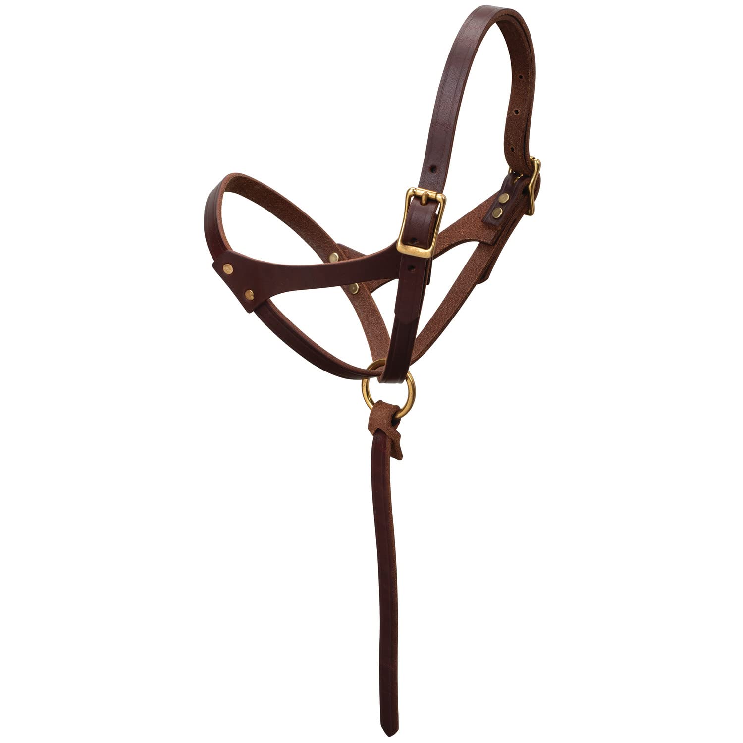 Weaver Leather Figure 8 Foal Halter, 5/8" Suckling, Oiled Canyon Rose