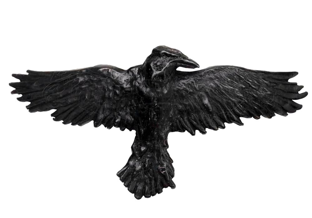 Alchemy Black Raven Hair Clip