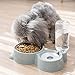 Cat Dog Feeder Automatic Water Bowl and Food Bowl Set, Dogs Cats Stainless Steel Feeder Bowl and Automatic Gravity Water Dispenser Double Pet Bowls Bottle for Small or Medium Size Dogs Cats (Blue)thumb 1