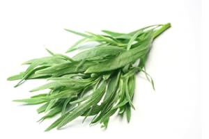 Fresh Tarragon, 3 Count of 1 lb Bulk Pack - Intense Aniseed and Vanilla Flavor Herb for Chefs