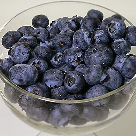 Amazon チリ メキシコ産 ブルーベリー 生 1パック125ｇ ブルーベリー ベリー類 通販