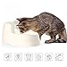 Cat Drinking Fountain, Dog Water Dispenser,Healthy and Hygienic Pet Waterfall Drinking Waterer With 5Pcs Water Filters and 2.5L (0.66 gal) Capacity