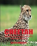 Cheetah: Amazing Photos & Interesting Facts Book about Cheetah