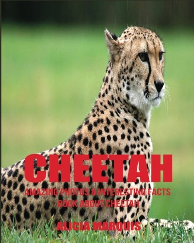 Cheetah: Amazing Photos & Interesting Facts Book about Cheetah