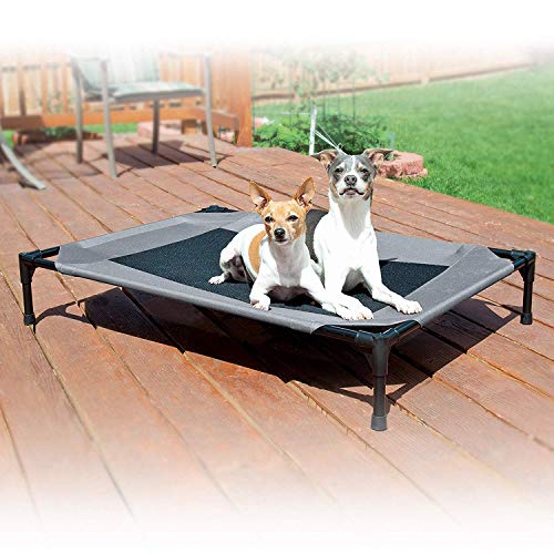 1 Pet+Products+Original+Elevated+Medium