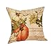 Clearance!!!Happy Fall Thanksgiving Day Home Decor Linen Turkey Pillow Case Cushion Cover (G)