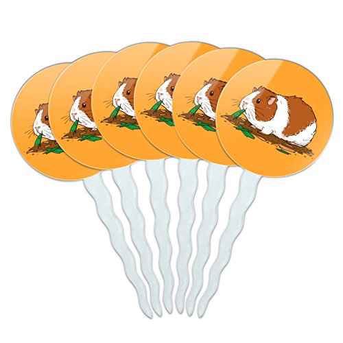 Guinea Pig Eating Cupcake Picks Toppers Decoration Set of 6