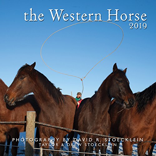 2019 Western Horse Calendar