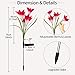 CLAONER Solar Garden Stake Lights, 3 Pack Solar Flower Lights Outdoor with 12 Lily Flowers Waterproof Muti-Color Changing LED Lights for Outdoor Decorative Like Garden, Yard, Patio, Walkway, Pathway