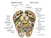 Kkika Rotating Accupressure Massage Men Shoes and Women Shoes Foot Massager Sandals for Man (8.5-9.5)/Women (10-11)