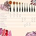 Spaire Makeup Brushes 10 Pieces Oval Makeup Brush Set with Soft Fiber Hairy Toothbrush Shaped Design for Both Wet and Dry Powder